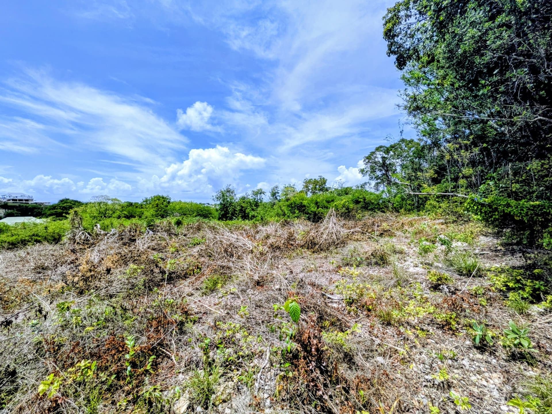 Terrain constructible avec vue dégagée 3